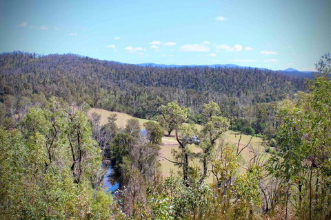Hilltop House, Truly Unwind - Hervey Bay Accommodation 1
