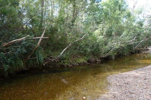 Hilltop House, Truly Unwind - Hervey Bay Accommodation 3