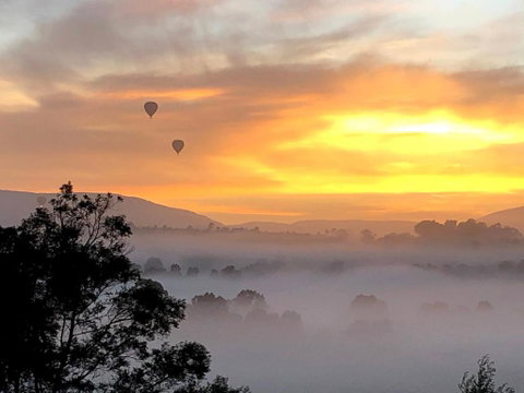 Honeycomb Hill Of Yarra Valley - Tourism Hervey Bay 1