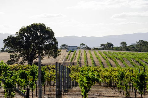 Hounds Run Vineyard - Tiny House In The Grampians - Tourism Hervey Bay 1