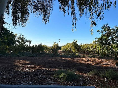 House By The Vines - Tourism Hervey Bay 0