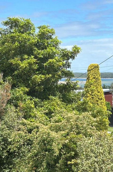 Iconic Beach House On Bruce - Hervey Bay Accommodation 1