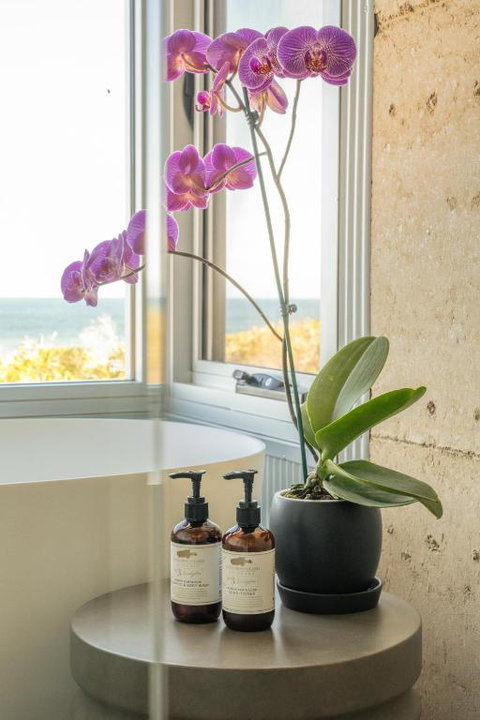 Immerse Kangaroo Island - Hervey Bay Accommodation 2