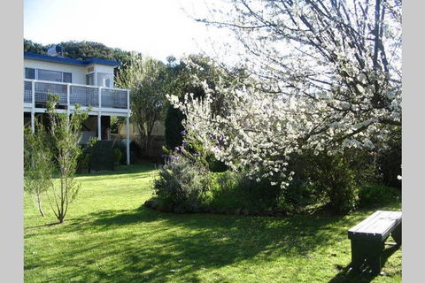 Adrift At Ventnor On Phillip Island, Pets - Tourism Hervey Bay 3