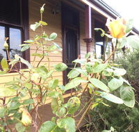 Albion Cottage - Tourism Hervey Bay