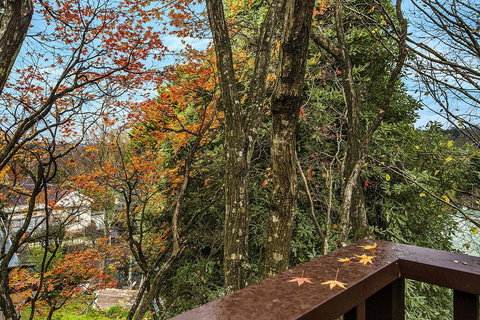 Allambee - Hervey Bay Accommodation 2