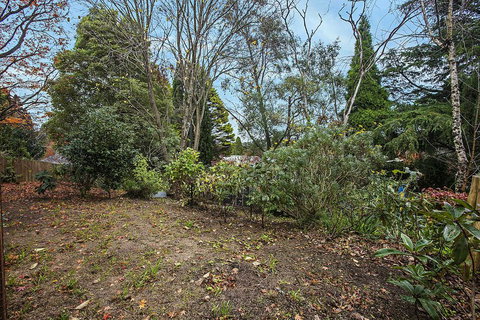 Allambee - Hervey Bay Accommodation 1