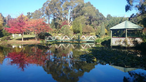Altona Garden Retreat - Tourism Hervey Bay 0