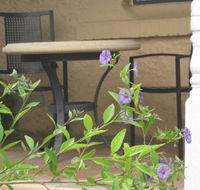 Amalie Cottage Waikerie - Tourism Hervey Bay