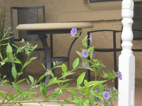 Amalie Cottage Waikerie - Tourism Hervey Bay 0