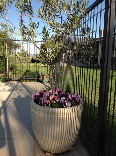 Amazing Views Pet Friendly Bed And Breakfast - Hervey Bay Accommodation 3