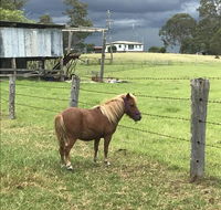 AMs Farm Stay - Hervey Bay Accommodation