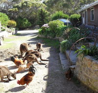 Anchorage Apartments - Hervey Bay Accommodation