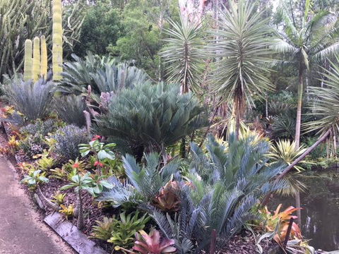Ancient Gardens Guesthouse & Botanical Gardens - Tourism Hervey Bay 2