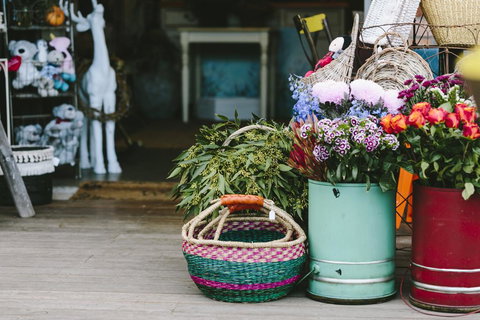 Angel Sussurri - Hervey Bay Accommodation 3