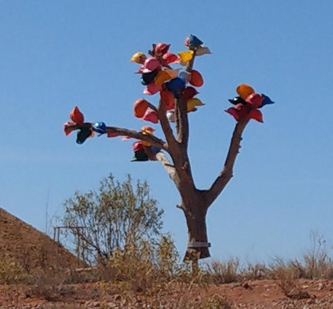 ANTE STREET DUGOUT - Tourism Hervey Bay 1