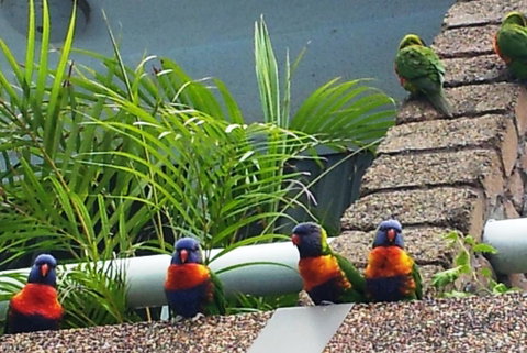 Aquajet Motel - Hervey Bay Accommodation 3
