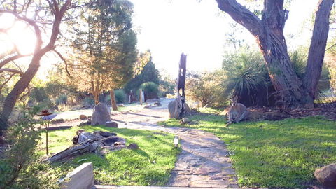 Aquila Eco Lodges - Hervey Bay Accommodation 3