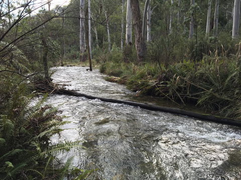 Ariane - Hervey Bay Accommodation 3