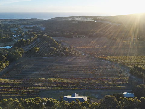 Arimia Estate Guesthouse - Hervey Bay Accommodation 1