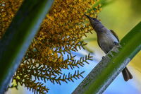 Book Karumba Accommodation Vacations Hervey Bay Accommodation Hervey Bay Accommodation