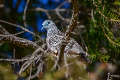 Ash's Holiday Units - Tourism Hervey Bay 2