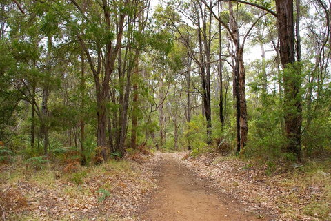 Ashleigh - Hervey Bay Accommodation 2