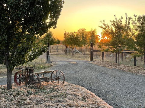 Maple Lane Farm Stay - Hervey Bay Accommodation 0