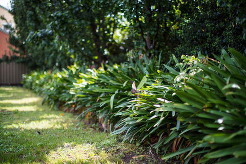 Merivale Motel - Hervey Bay Accommodation 2