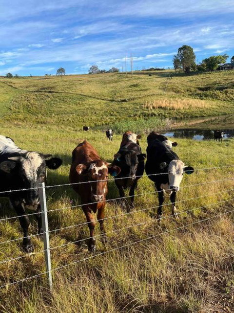 Modern Farmhouse - Hervey Bay Accommodation 3