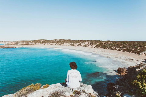 Modern House Close To CBD & Adelaide Oval - Tourism Hervey Bay 3