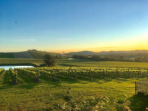Mount Hope Estate Vineyard - Hervey Bay Accommodation 0