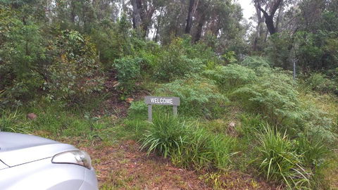 Mountain Tranquility - Hervey Bay Accommodation 3