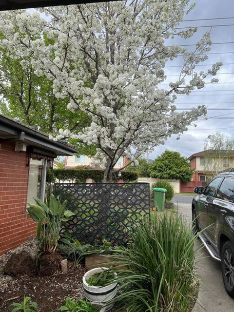 Newly Refurbished House- SuperFast Internet - Hervey Bay Accommodation 2