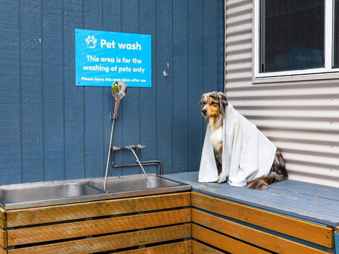 NRMA Forster Tuncurry - Tourism Hervey Bay 3