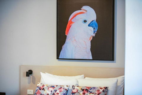 Nightcap At The Charles Hotel - Hervey Bay Accommodation 3
