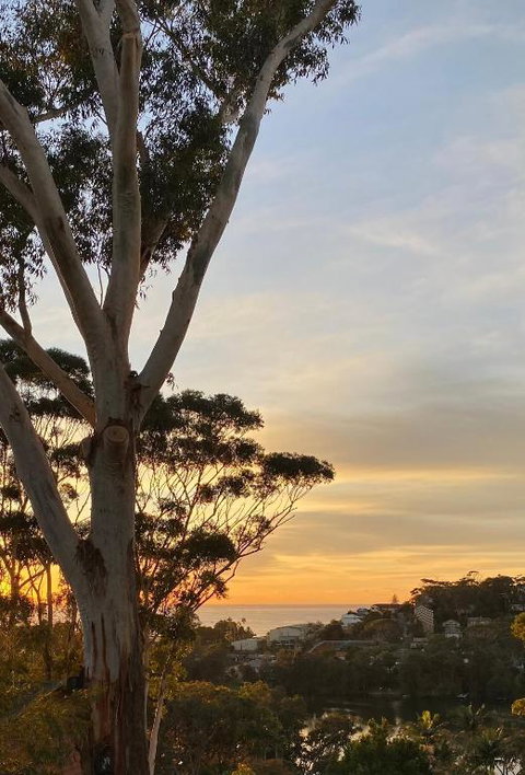 Ocean Sunrises - Tourism Hervey Bay 1