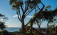 Ocean Views Walk To Malua Beach EV & Pet Friendly - thumb 0