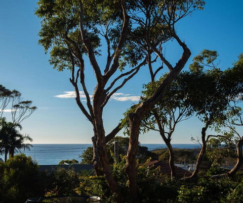 Ocean Views Walk To Malua Beach EV & Pet Friendly - Tourism Hervey Bay 0