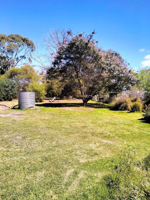 Peaceful Pet Friendly 1 Bedroom Cottage On 1 Acre - Hervey Bay Accommodation 3