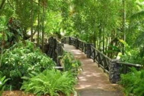 Paddington Pad With Back Deck And Free Car Space Close To Suncorp - Hervey Bay Accommodation 2