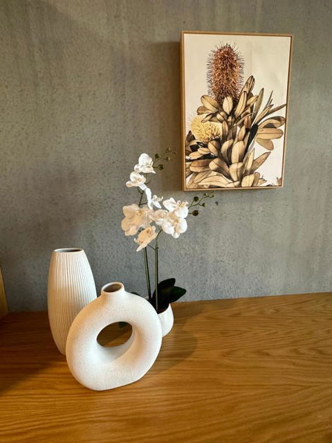 Palko - Oasis In The City - Tourism Hervey Bay 3