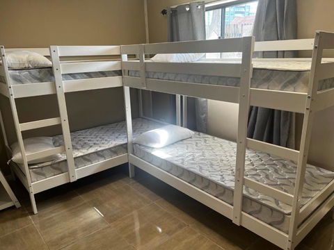 Palm Hamilton Backpacker - Tourism Hervey Bay 3