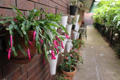 Pavlos Motel - Hervey Bay Accommodation 3