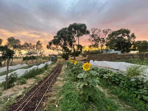 Penobscot Farm Cottage - Tourism Hervey Bay 2