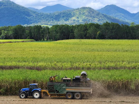 Pinnacolo Farm Stay - Hervey Bay Accommodation 1