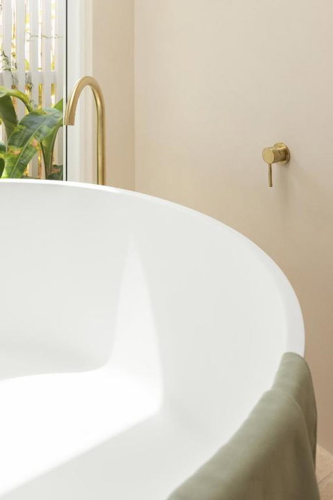 Pipis - Hervey Bay Accommodation 1