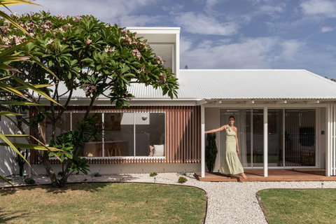 Pipis - Hervey Bay Accommodation 2