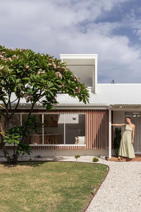 Pipis - Hervey Bay Accommodation 3