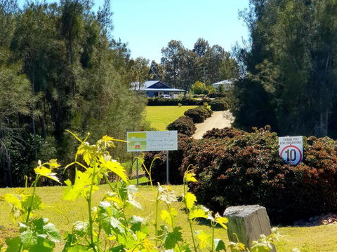 Red Door Collective - RDC Vineyard Estate, Luxury Adult Only Stay - Hervey Bay Accommodation 0